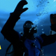 A diver beneath ice in the documentary Encounters At The End Of The World